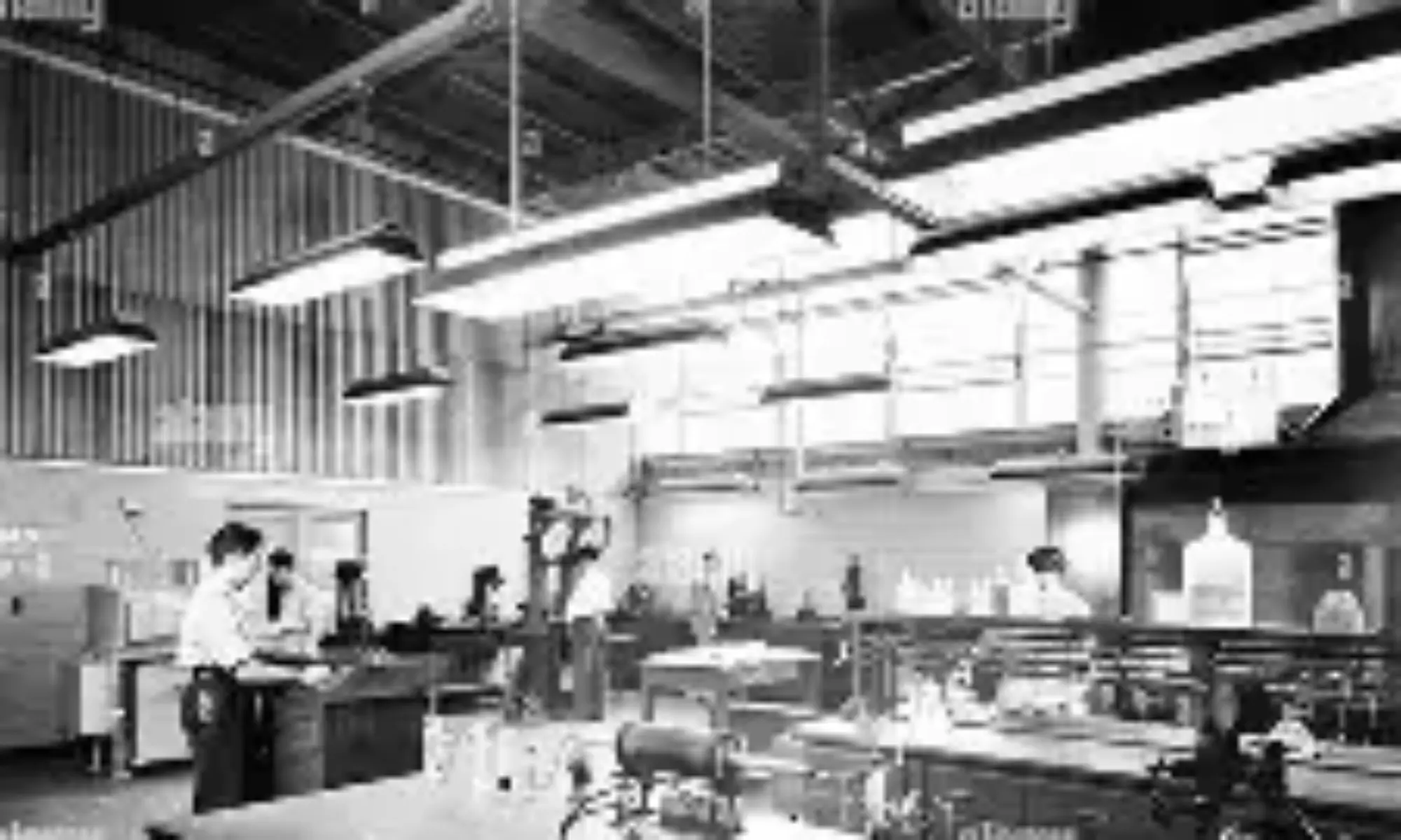 You are currently viewing lmgm